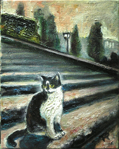 5ミケランジェロ広場の猫